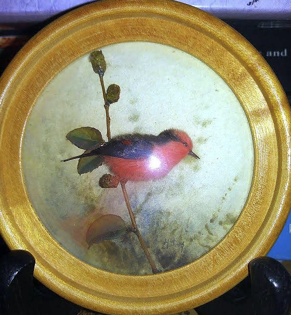 Vermilion Flycatcher